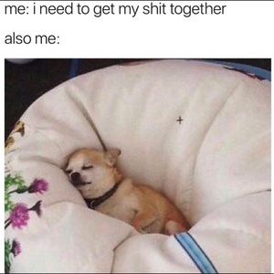 Meet your Posher, William